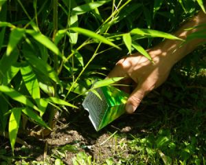 fertilizing plants