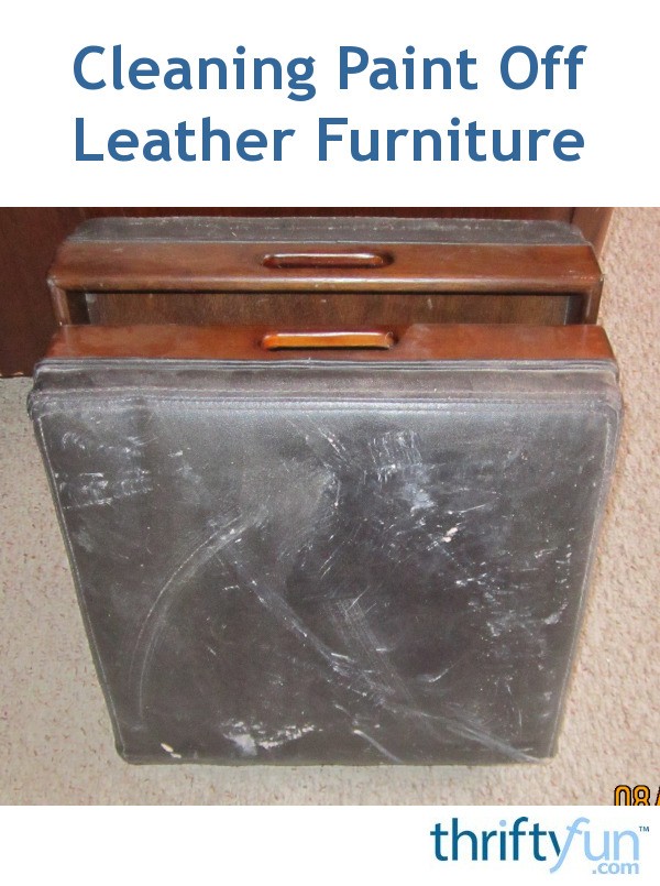 Cleaning Paint Off Leather Furniture ThriftyFun