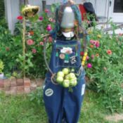 Upcycled Scarecrow