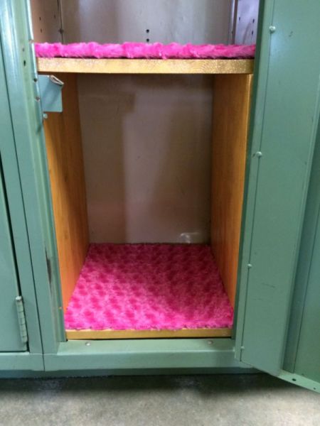 Fuzzy Locker Rug