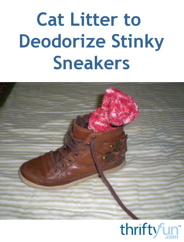 Cat Litter to Deodorize Stinky Sneakers ThriftyFun