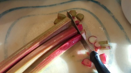 rhubarb Pie