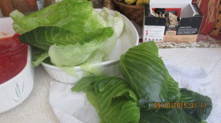 cabbage leaves