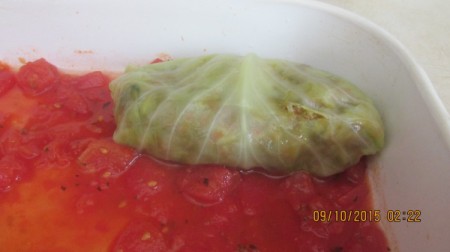 folded stuffed leaf on sauce