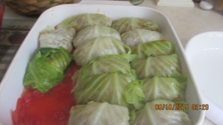 folded stuffed leaf on sauce