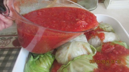 folded stuffed leaf on sauce