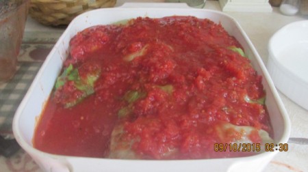 folded stuffed leaf in pan