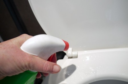 Cleaning the toilet.