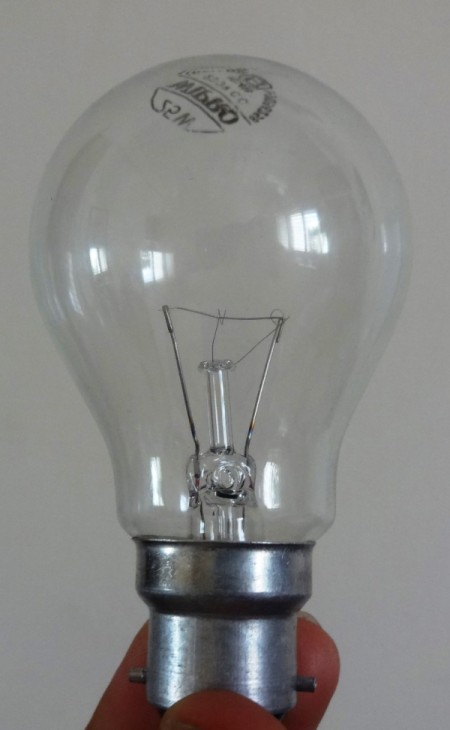 Light Bulb Vase