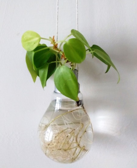 Light Bulb Vase | ThriftyFun