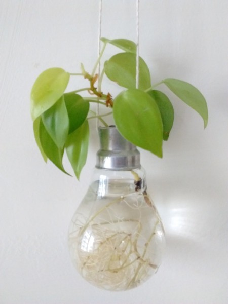 Light Bulb Vase