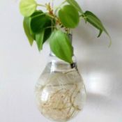 Light Bulb Vase