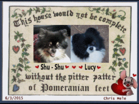 Photo of two Pomeranians in a frame saying "This house would not be complete without the pitter patter of Pomeranian feet."
