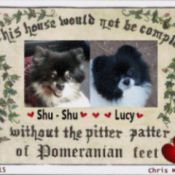 Photo of two Pomeranians in a frame saying "This house would not be complete without the pitter patter of Pomeranian feet."