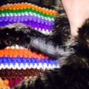 furless area on cat's leg