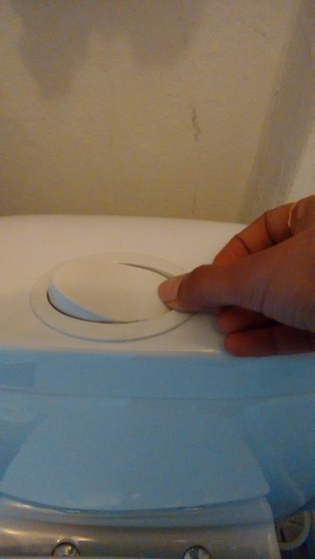 Repairing Cistern Flush Button