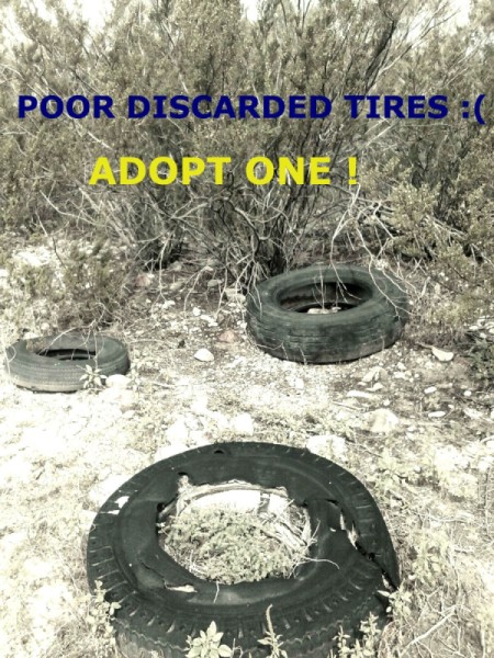Recycled Tire Desert Garden