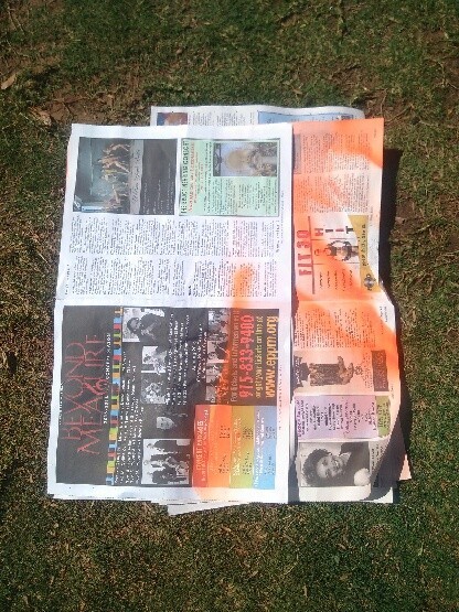 Recycled Tire Desert Garden