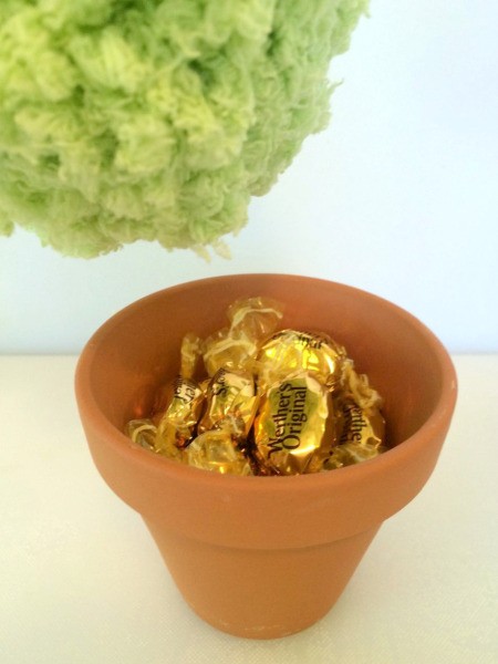 Pom Pom Plant Candy Dish