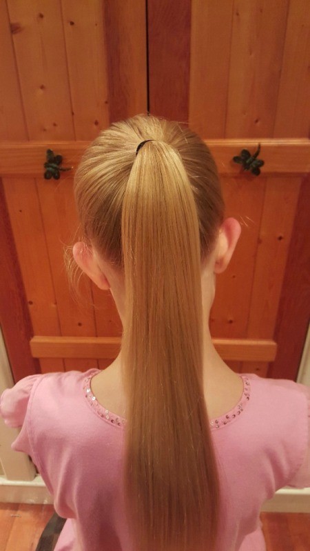 Victorian Braided Up-do