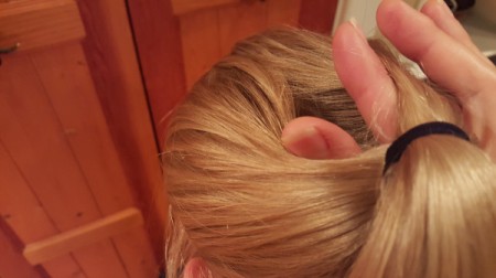 Victorian Braided Up-do