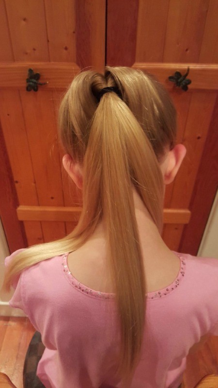 Victorian Braided Up-do