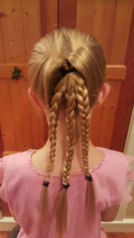 Victorian Braided Up-do