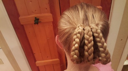 Victorian Braided Up-do