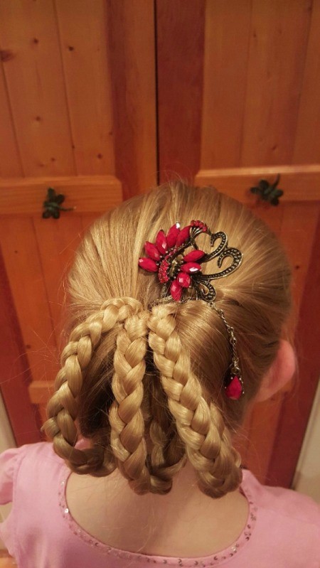 Victorian Braided Up-do