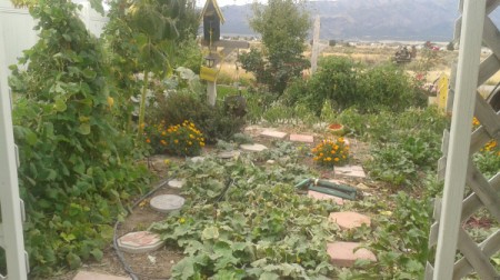 Organic Gardening at Home