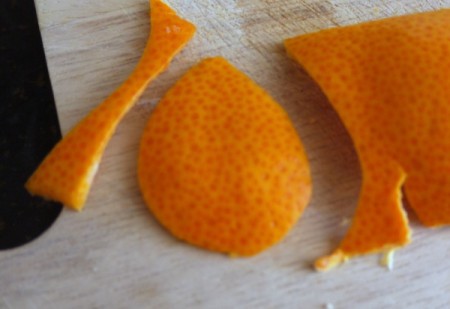 Citrus Peel Earrings