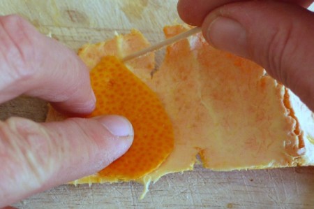 Citrus Peel Earrings