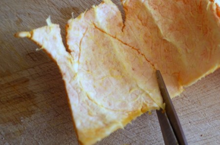 Citrus Peel Earrings