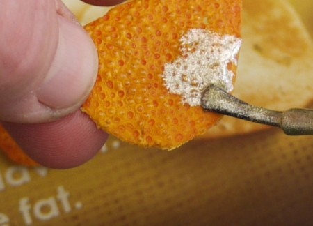 Citrus Peel Earrings