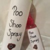 Making Poo Shoo Spray