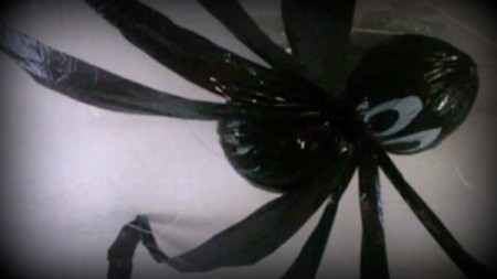 blak plastic bag spider