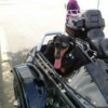 dog in sidecar
