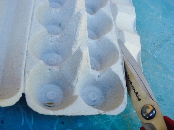 Egg Carton Gardening