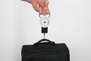 hand held luggage scale