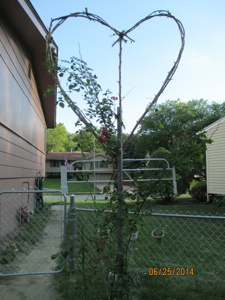 A trellis made from branches, shaped like a heart.