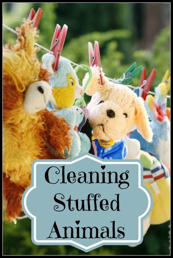 stuffed animal cleaning service