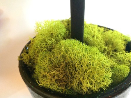 Halloween Pom Pom Topiary