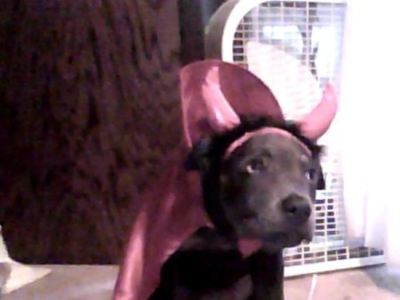 Hazel in a devil costume