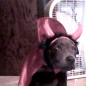 Hazel in a devil costume