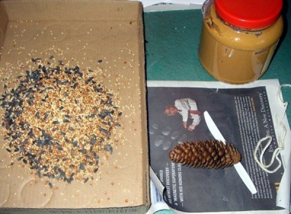 supplies of making pinecone bird feeder