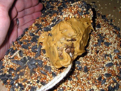 covering peanut butter with seed rolling and patting to cover