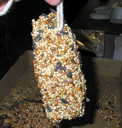 closeup of bird feeder