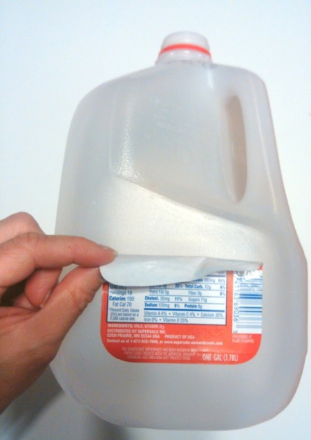 Gallon Milk Jug Piggy Bank