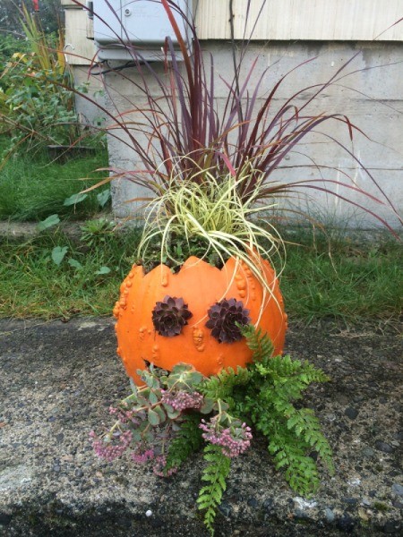 Pumpkin Planters