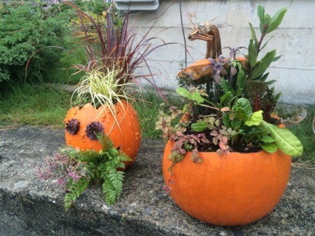 Pumpkin Planters